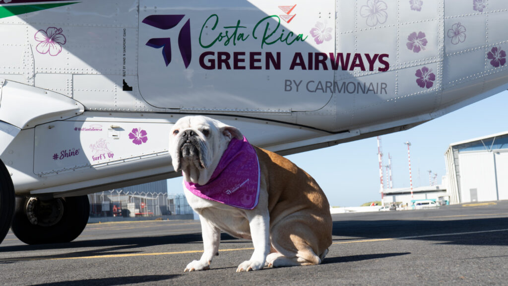 Flying with your pet in Costa Rica